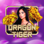 Dragon Tiger JL17 live casino